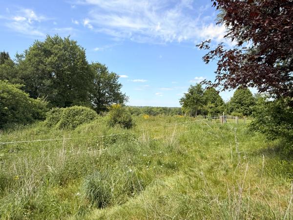 Propriété de village avec 3,4 hectares, grange et piscine