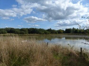 Terrain de loisirs - Bois - Etang à vendre à Pirou dans la Manche (50770), ref : 50061-1061768