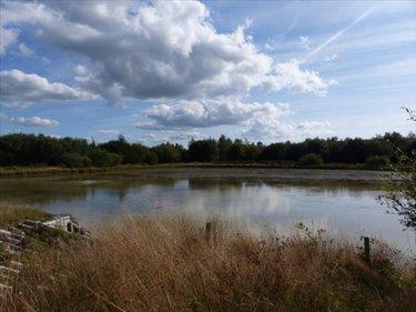 Terrain de loisirs - Bois - Etang à vendre à Pirou dans la Manche (50770), ref : 50061-1061768