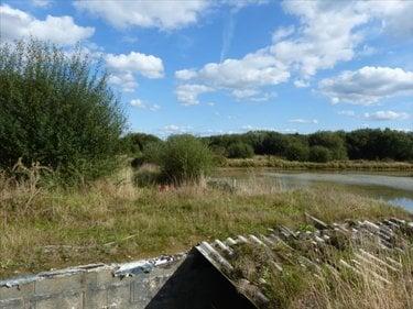 Terrain de loisirs - Bois - Etang à vendre à Pirou dans la Manche (50770), ref : 50061-1061768