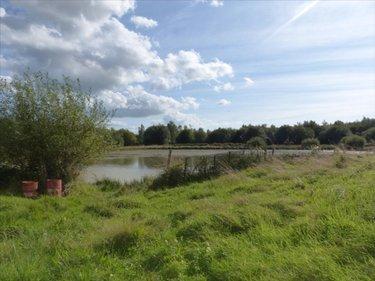 Terrain de loisirs - Bois - Etang à vendre à Pirou dans la Manche (50770), ref : 50061-1061768