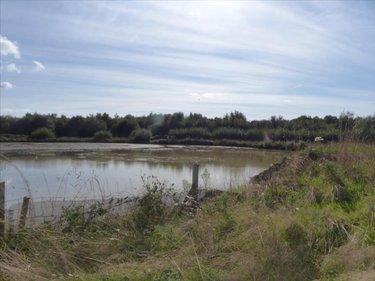 Terrain de loisirs - Bois - Etang à vendre à Pirou dans la Manche (50770), ref : 50061-1061768