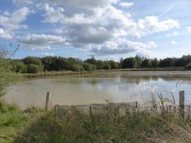 Terrain de loisirs - Bois - Etang à vendre à Pirou dans la Manche (50770), ref : 50061-1061768