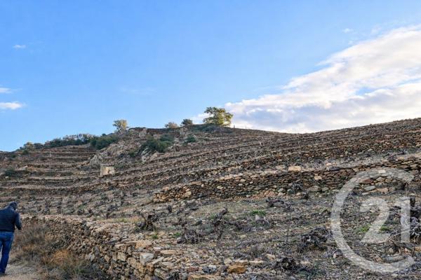 Terrain à vendre  10800 m2 COLLIOURE - 66
