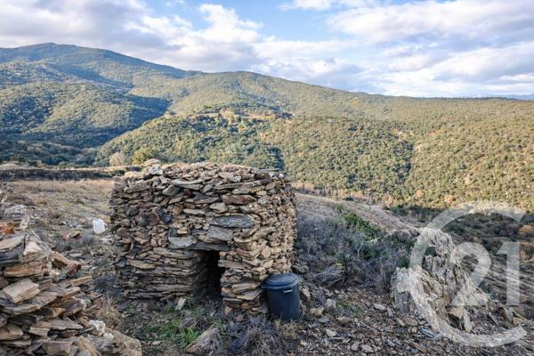 Terrain à vendre  10800 m2 COLLIOURE - 66