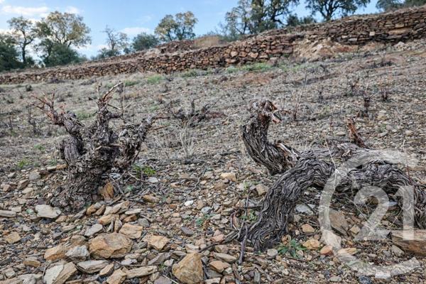 Terrain à vendre  10800 m2 COLLIOURE - 66