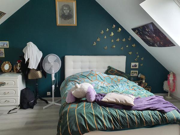 PROCHE CENTRE-VILLE DE SAINT AIGNAN SUR CHER