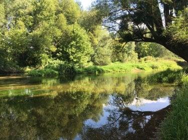 Terrain de loisirs à vendre à Buzançais dans l'Indre (36500), ref : 1044248BIS