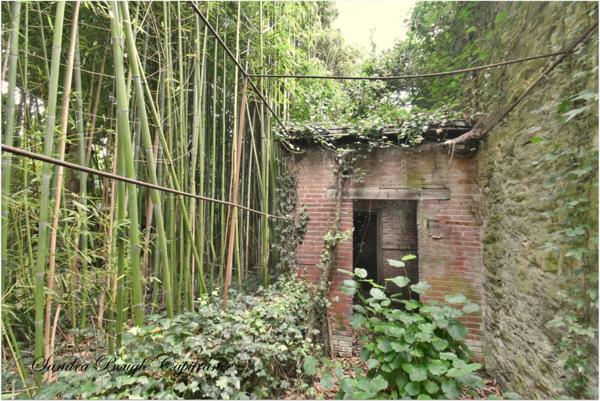 Maison à vendre 12 pièces LAVAL (53)