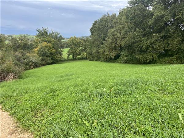 Terrain à vendre |  Ussac |  4467 m²