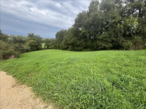Terrain à vendre |  Ussac |  4467 m²