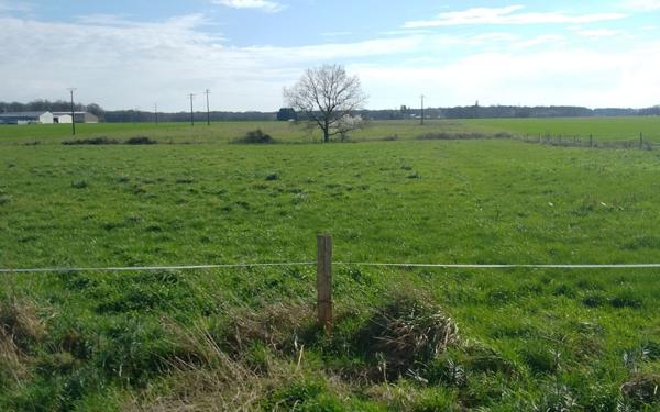 Terrain à vendre    Monnaie