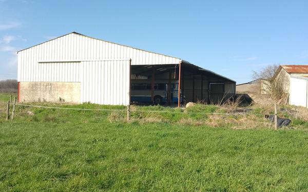 Terrain à vendre    Monnaie