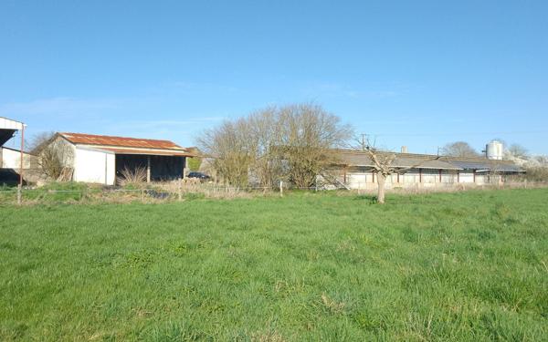 Terrain à vendre    Monnaie