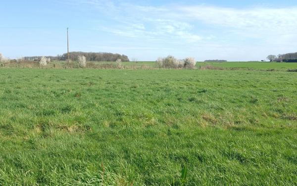 Terrain à vendre    Monnaie