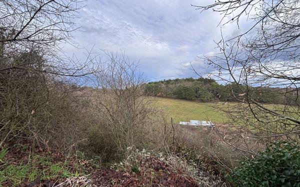 Terrain à vendre    Montamisé