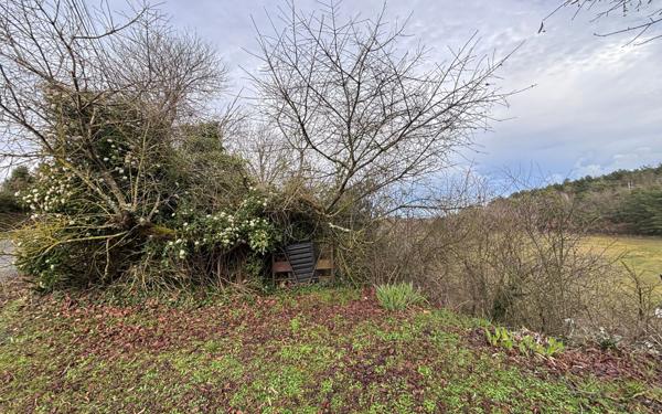 Terrain à vendre    Montamisé