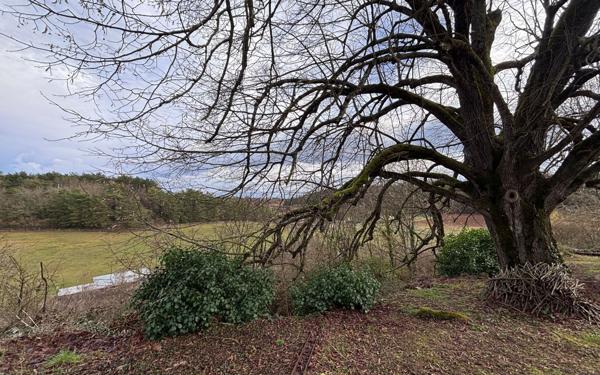 Terrain à vendre    Montamisé