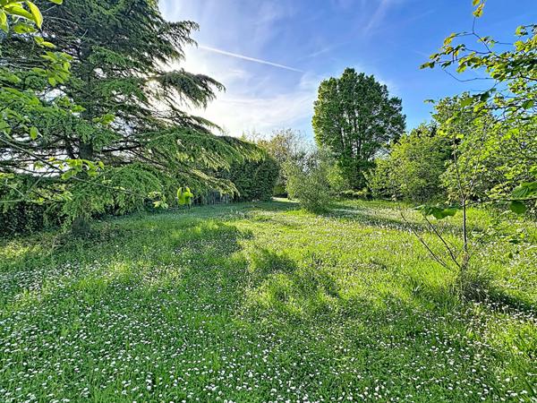Terrain 801 m2