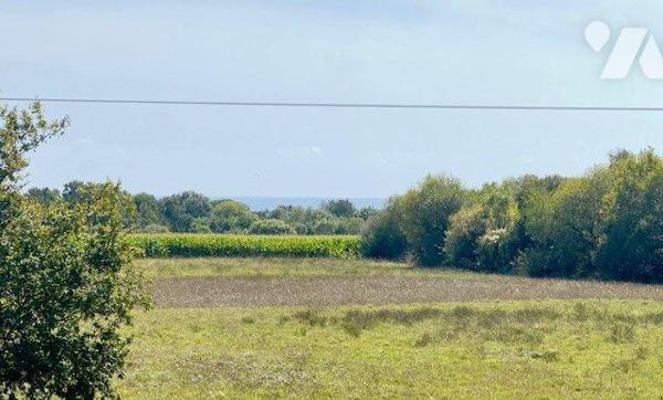 A VENDRE MAISON DE CHARME à  MOELAN SUR MER (29)

Située à deux pas du bourg de Kergroës, cet...