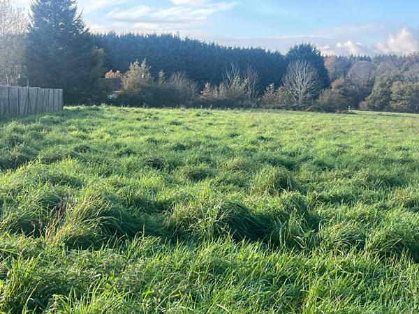 Magnifique terrain constructible dans le bourg commune de Cognac la Foret