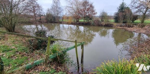 BAIS - Campagne - Maison pierres dépendances terrain-pièce d'eau