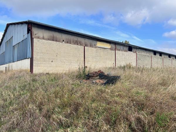 Hangar agricole 02170