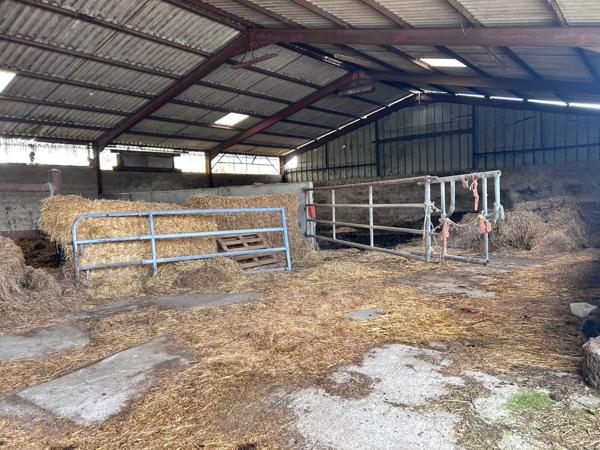 Hangar agricole 02170