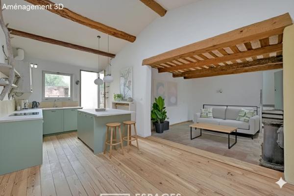 Maison ancienne et sa terrasse secrète