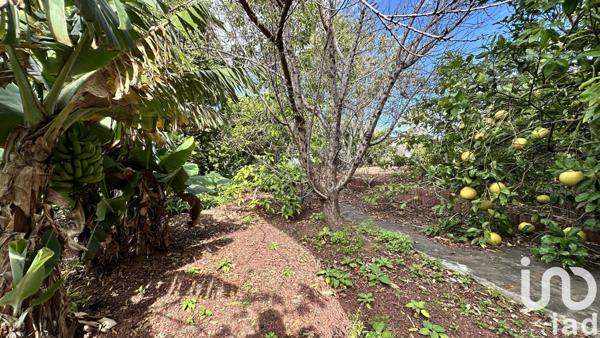 Maison à vendre 11 pièces 215 m² Le Tampon