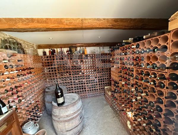 ✨ Propriété d'Exception et Prestations Haut de Gamme à Vielmur-sur-Agout (81570) ✨