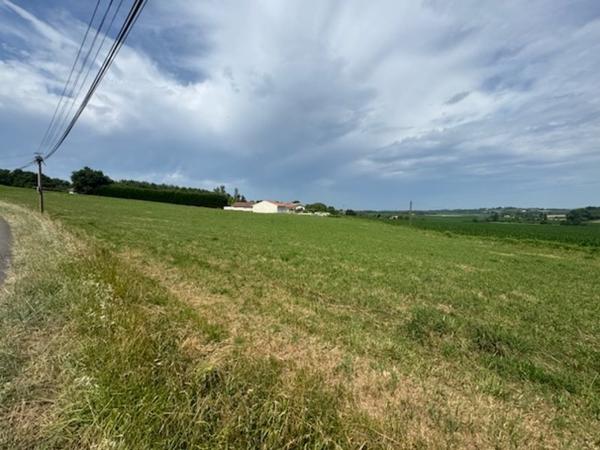 Terrain à vendre |  Horsarrieu |  1410 m²