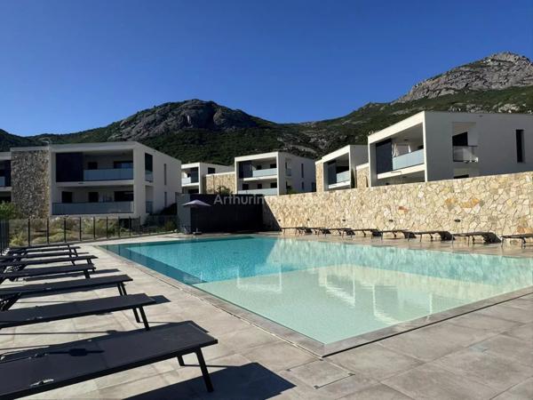 Vente Appartement 2 pièces 44 m2 à Calvi