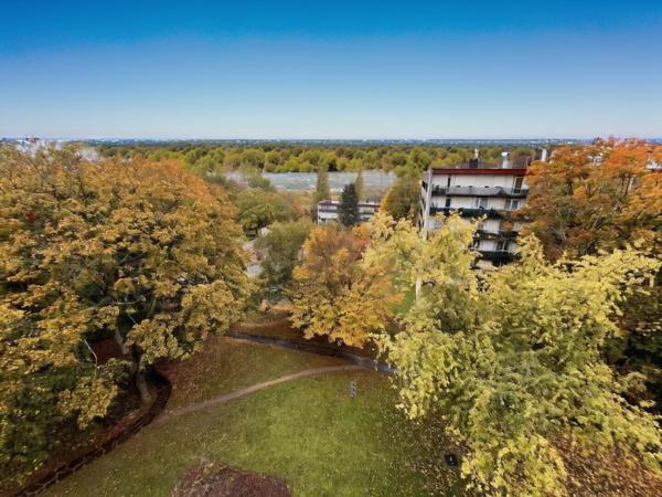 Appartement Ris Orangis 4 pièce(s)