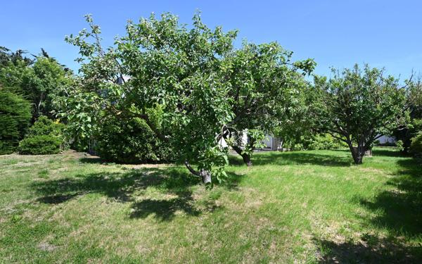 Maison à vendre    4 pièces •  Saint-Clément-des-Baleines