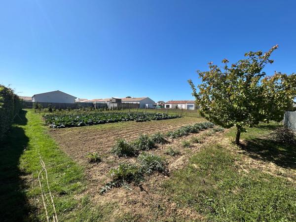 Terrain de 919 m2