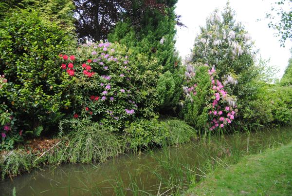 Pleurtuit (35730) Pleurtuit. Propriété de 323 m2 terrain arboré de 8 480 m2 dont 1 500 m2 constructibles