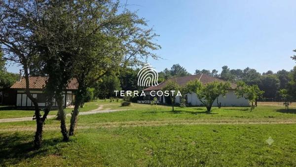 Domaine d'exception en lisière de forêt — 12 ha, gîtes, piscine