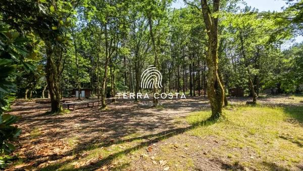 Domaine d'exception en lisière de forêt — 12 ha, gîtes, piscine