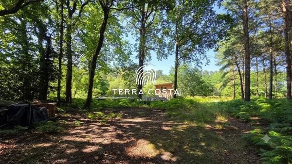Domaine d'exception en lisière de forêt — 12 ha, gîtes, piscine