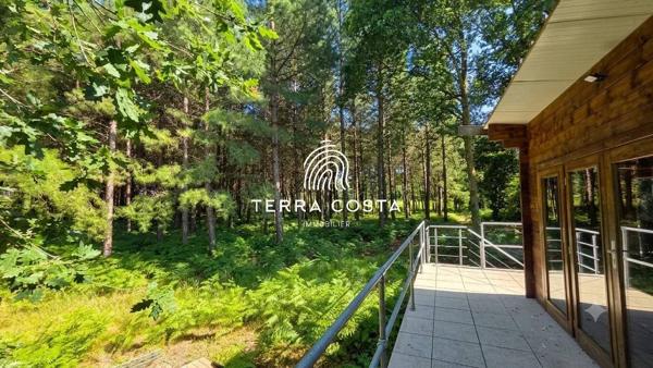 Domaine d'exception en lisière de forêt — 12 ha, gîtes, piscine