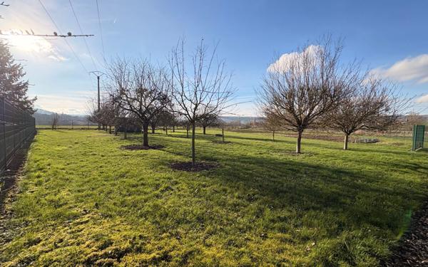 Terrain à vendre    Dormans