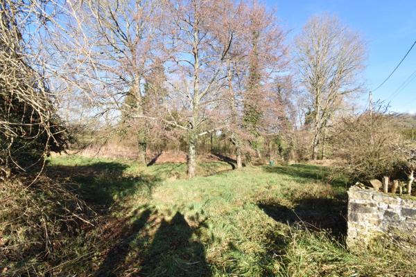 À Vendre : Maison de campagne avec étang et terrain de plus de 8000m² – Saint-Agnan-de-Versillat