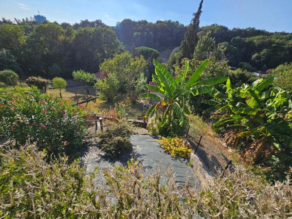 Maison 4 chambres proche hôpital