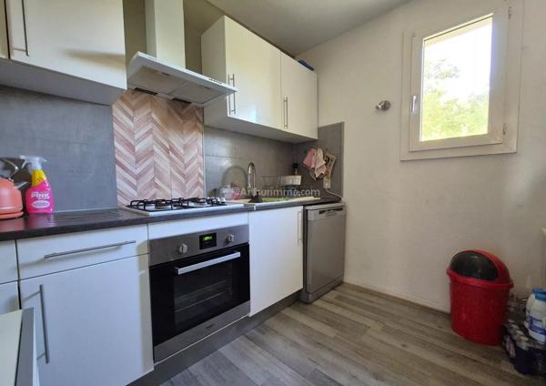 Location Appartement 4 pièces 70 m2 à Albi