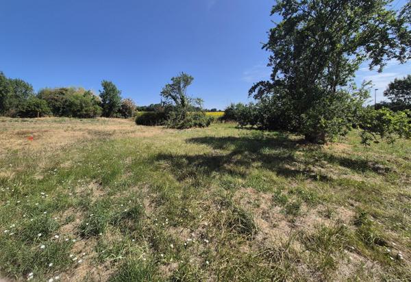 Terrain à bâtir