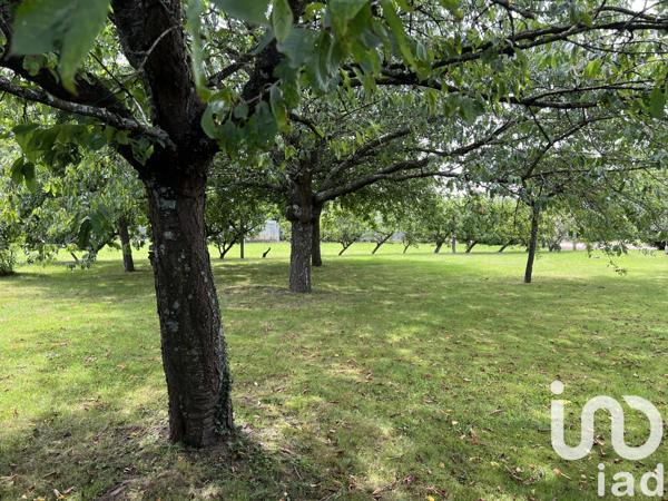 Maison à vendre 7 pièces 252 m² Molinet