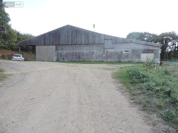 Achat - Terrain de loisirs, bois, étangs Maël-Pestivien 22160 501159 m 2