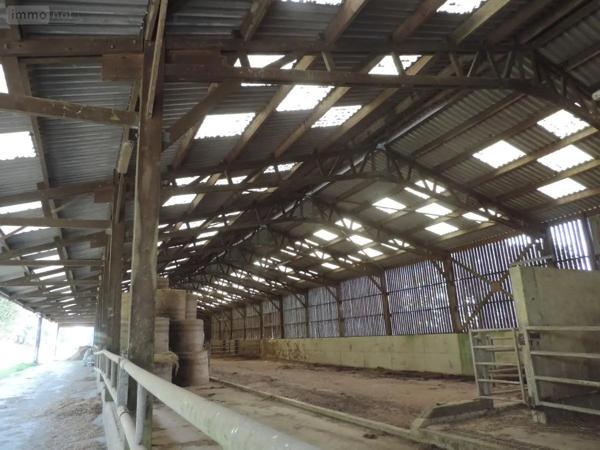 Achat - Terrain de loisirs, bois, étangs Maël-Pestivien 22160 501159 m 2