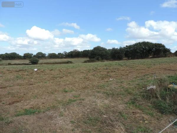 Achat - Terrain de loisirs, bois, étangs Maël-Pestivien 22160 501159 m 2